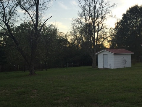 437 Blackwell Road Mendenhall, MS 39114 - Photo 12 of 14 More pecan trees!!