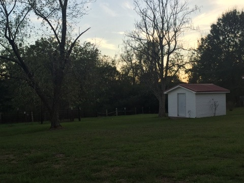 437 Blackwell Road Mendenhall, MS 39114 - Photo 13 of 14 Photo 13