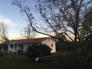 437 Blackwell Road Mendenhall, MS 39114 - Photo 3 of 14 Huge pecan trees!!!