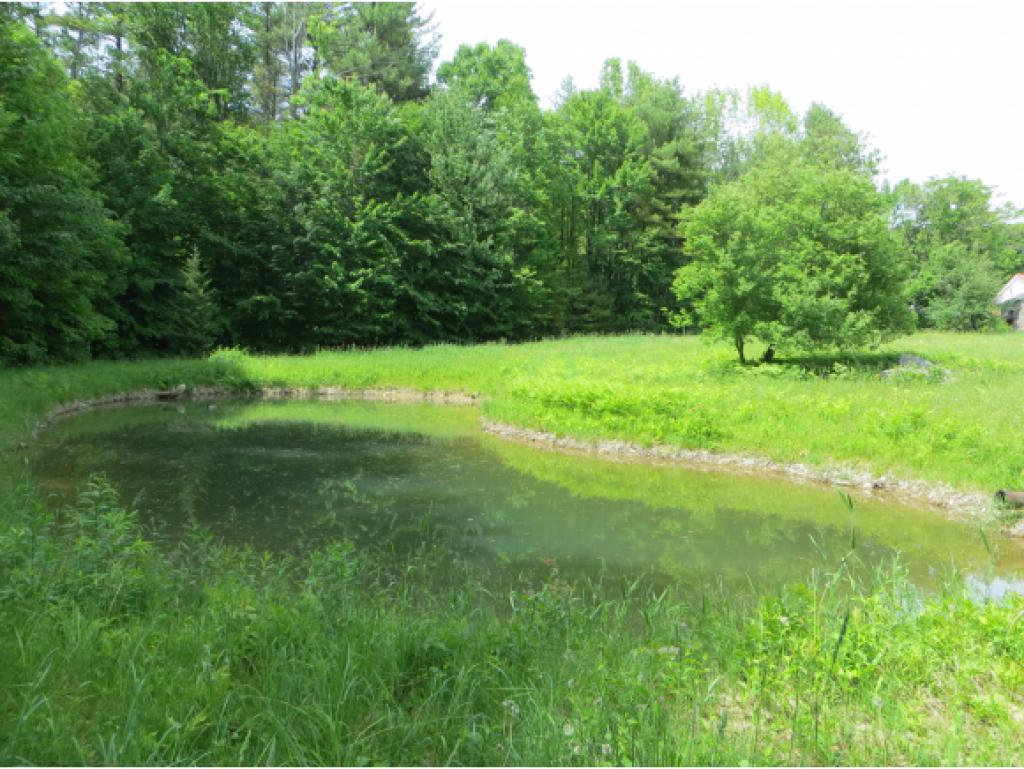 236 Upper Bay Road Sanbornton, NH 03269 - Photo 26 of 34