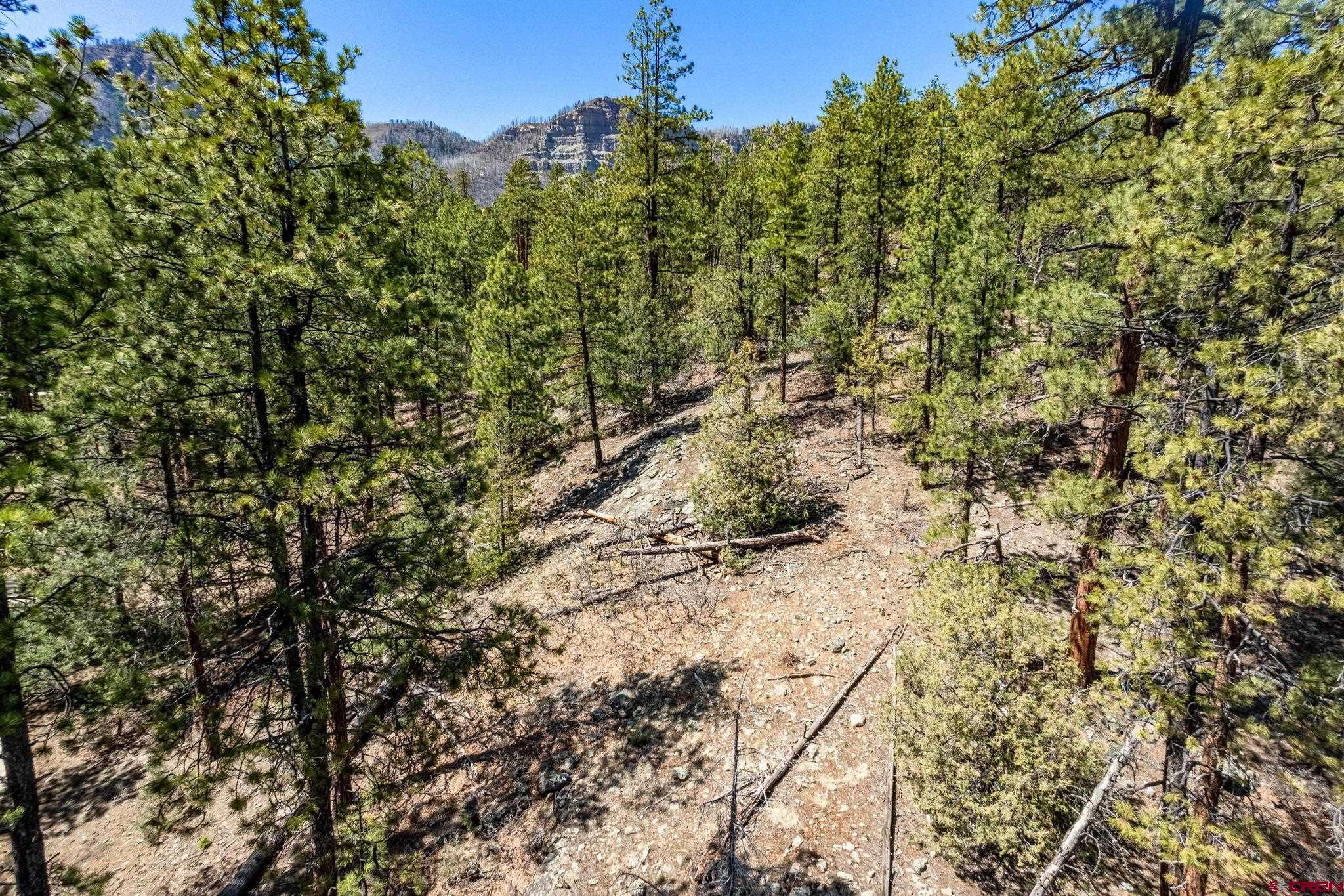 91 Ambush Canyon Durango, CO 81301 - Photo 16 of 25
