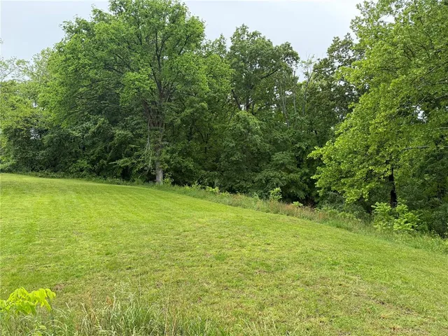 $29,900 | Lot 6 Elim Heights, Marble Hill, MO 63764