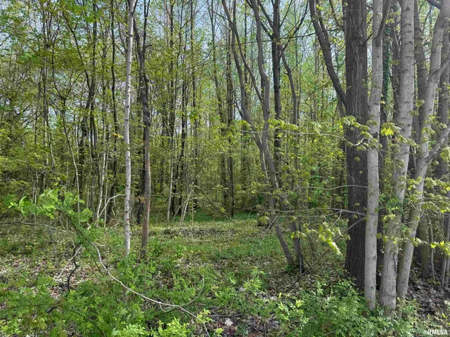 $30,000 | 0 Sterling Street, Benton, IL 62812