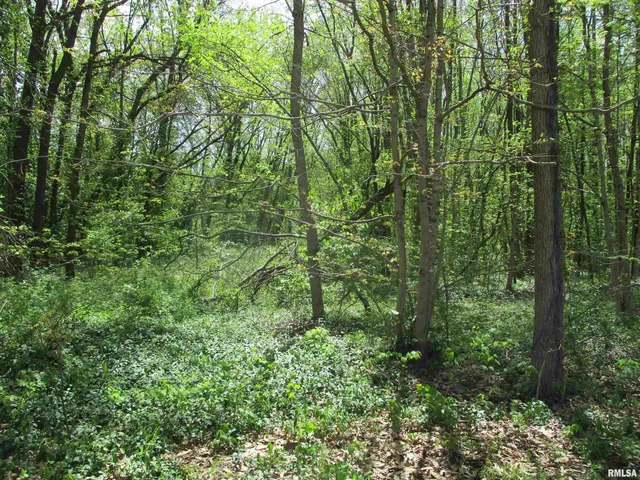 $30,000 | 0 Sterling Street, Benton, IL 62812