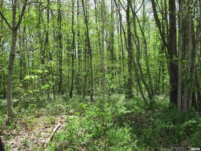 $30,000 | 0 Sterling Street, Benton, IL 62812