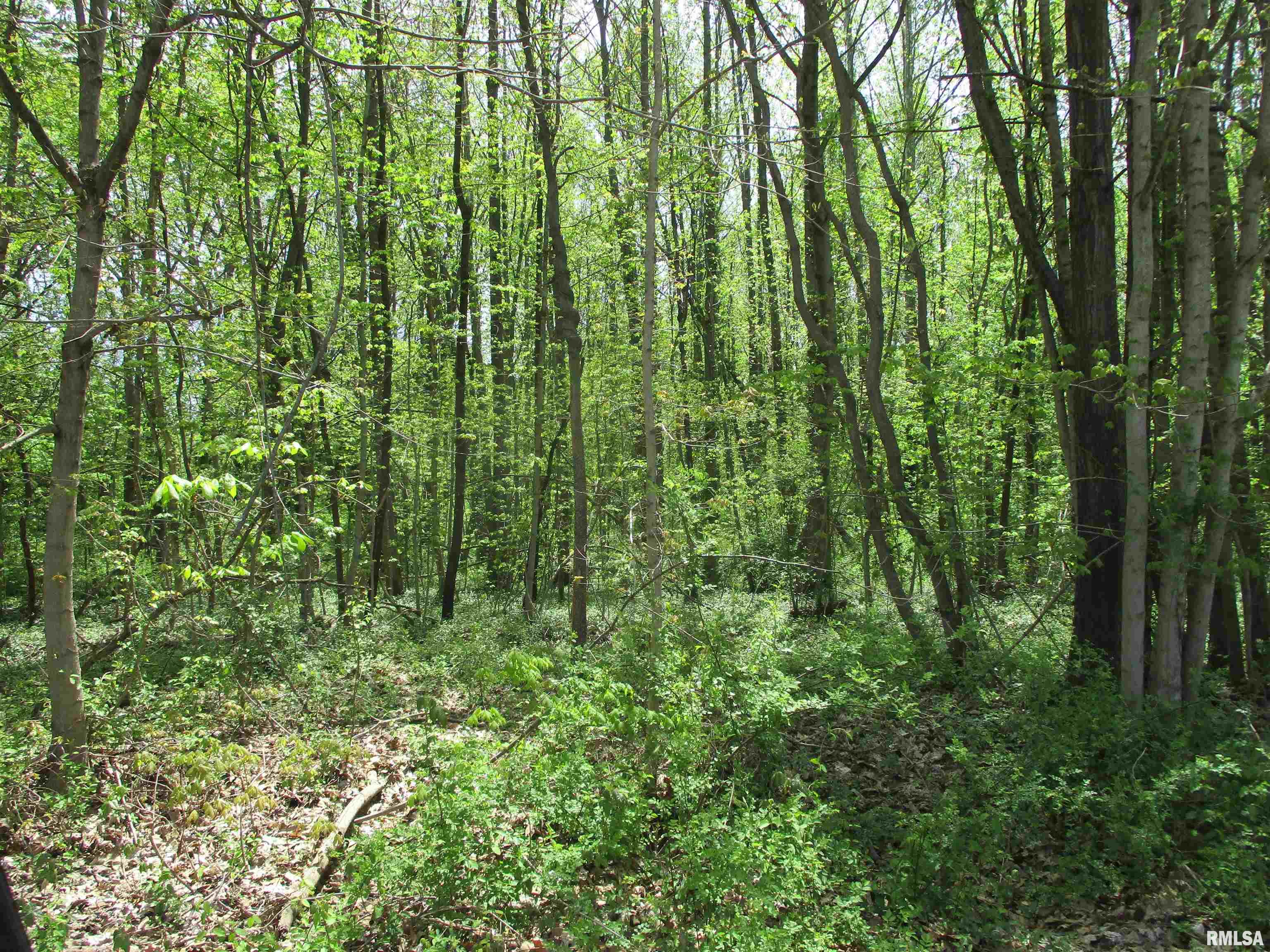 0 Sterling Street Benton, IL 62812 - Photo 12 of 13