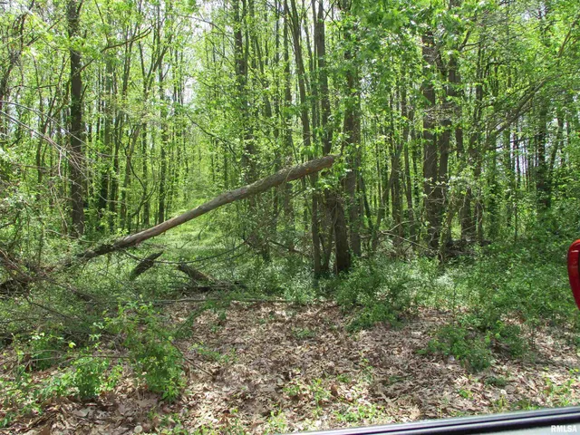 $30,000 | 0 Sterling Street, Benton, IL 62812