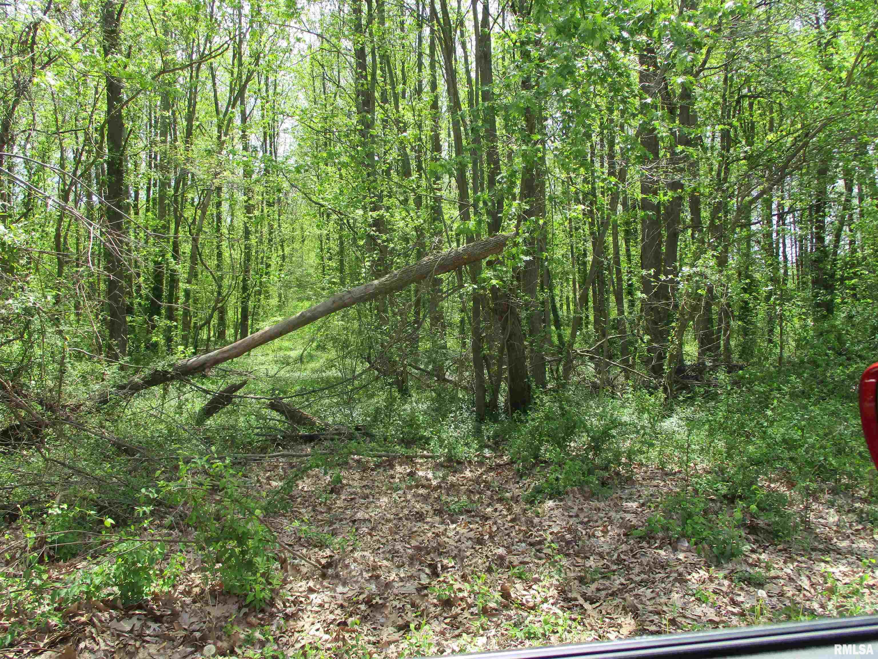 0 Sterling Street Benton, IL 62812 - Photo 13 of 13