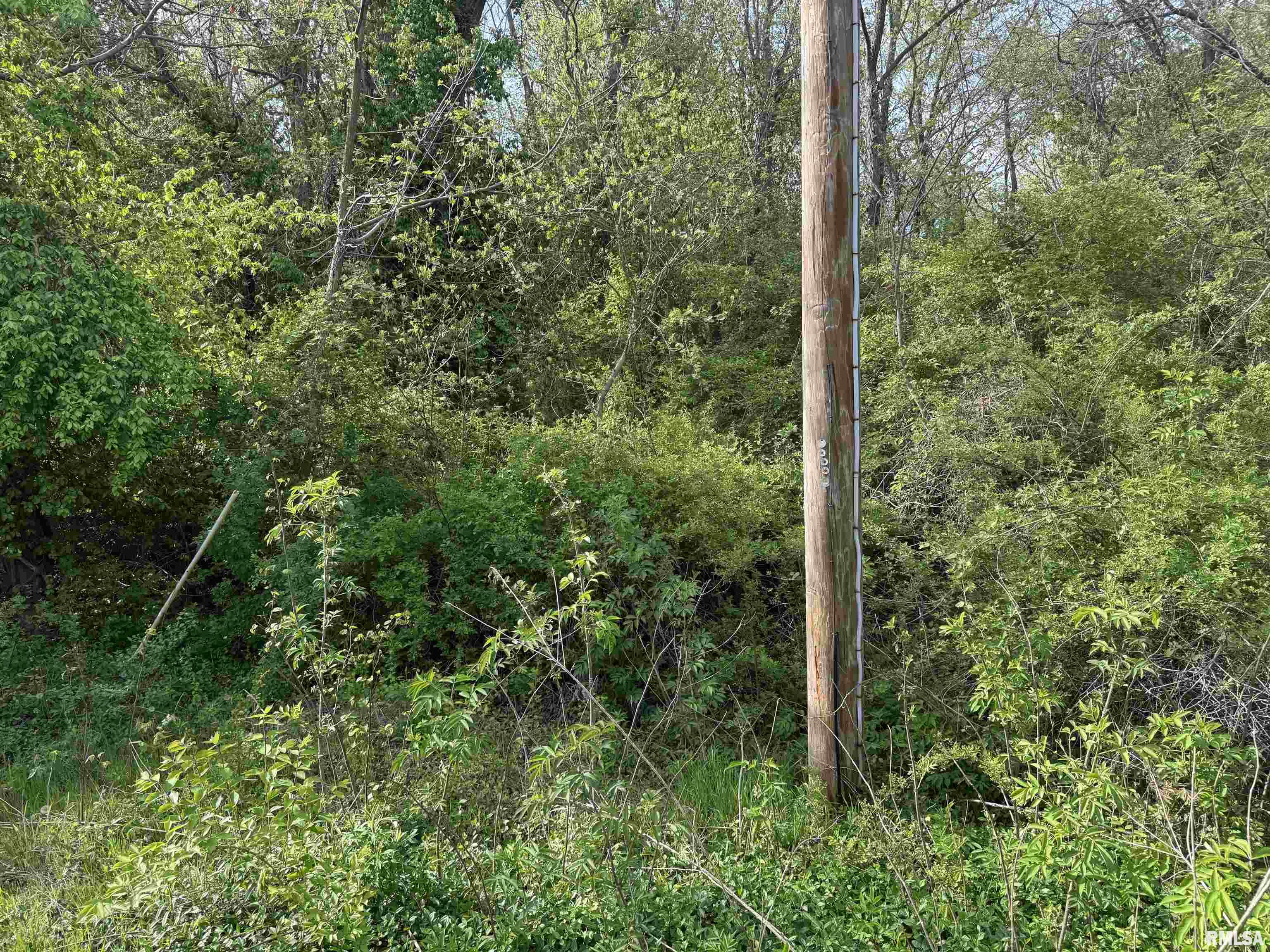 0 Sterling Street Benton, IL 62812 - Photo 2 of 13