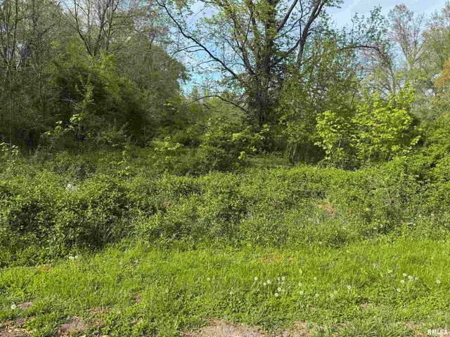 $30,000 | 0 Sterling Street, Benton, IL 62812