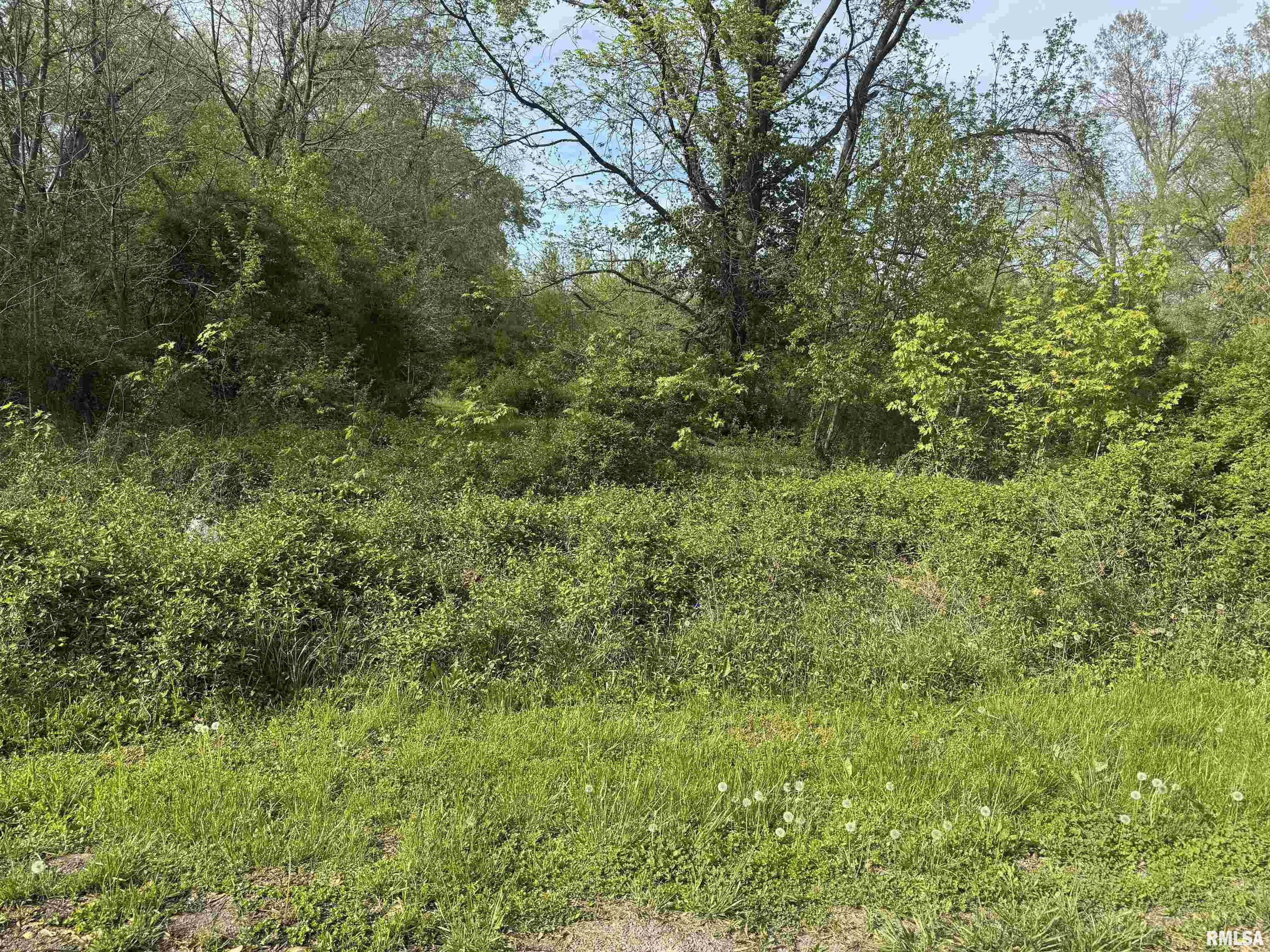 0 Sterling Street Benton, IL 62812 - Photo 3 of 13