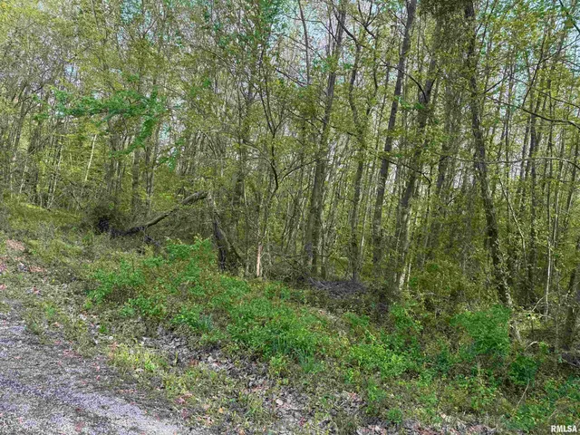 $30,000 | 0 Sterling Street, Benton, IL 62812