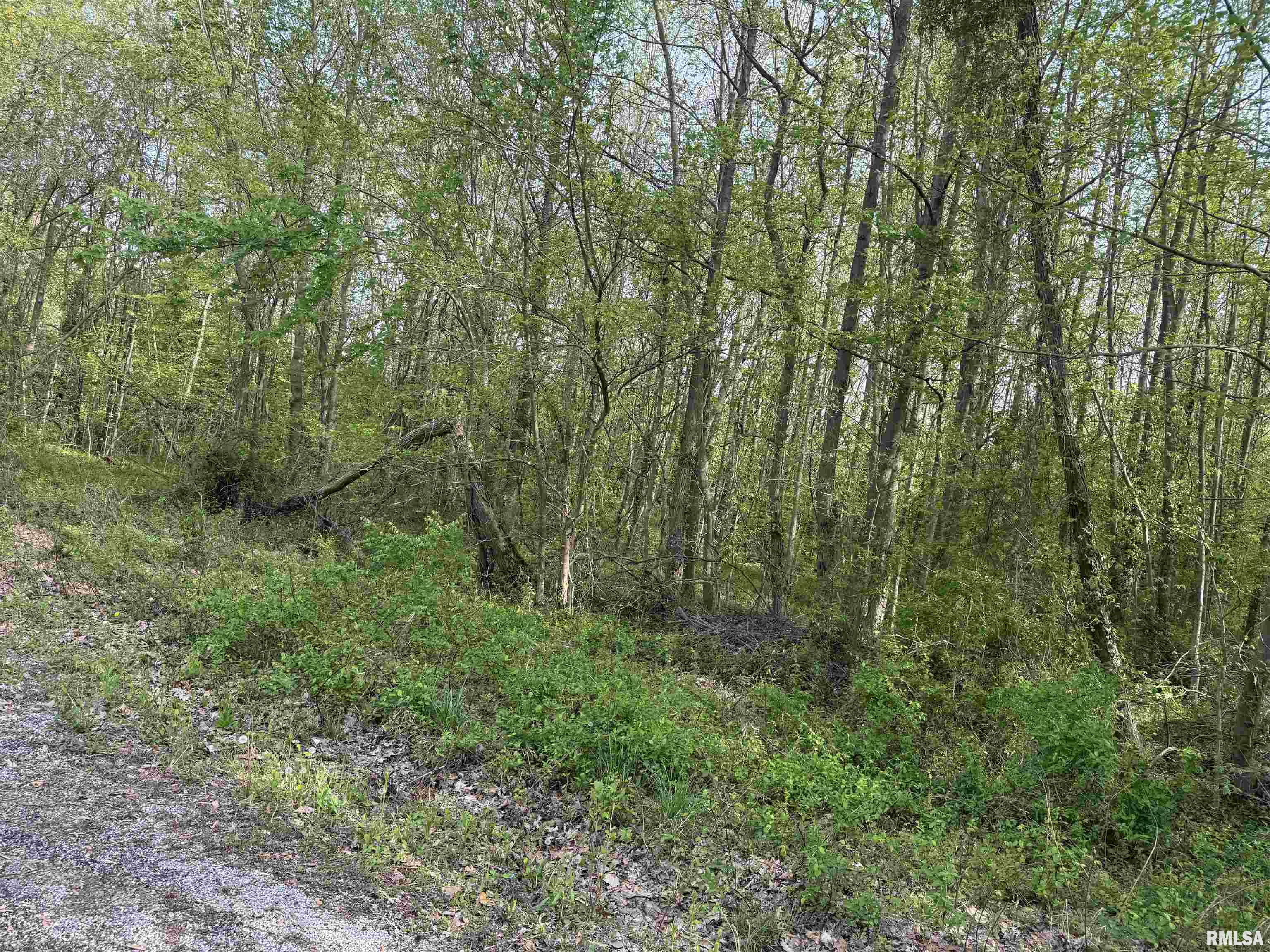 0 Sterling Street Benton, IL 62812 - Photo 5 of 13