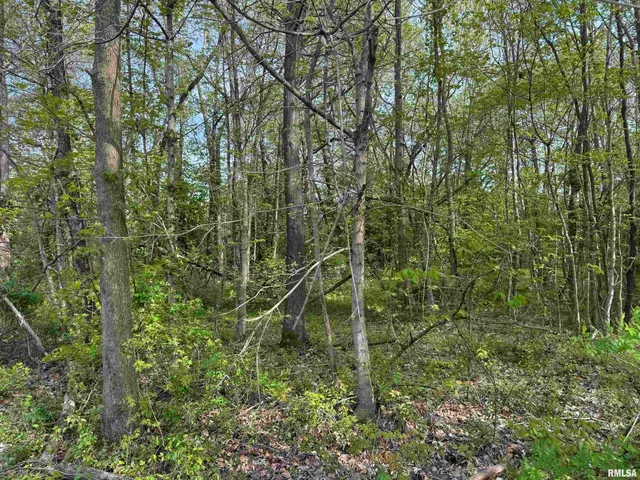 $30,000 | 0 Sterling Street, Benton, IL 62812