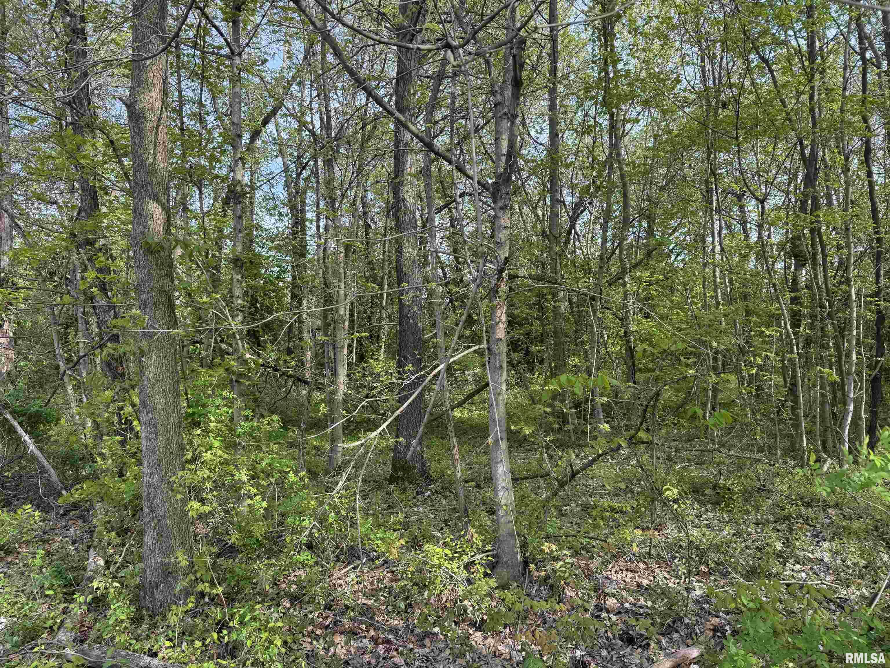 0 Sterling Street Benton, IL 62812 - Photo 6 of 13