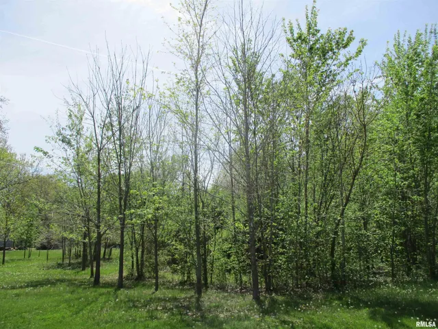 $30,000 | 0 Sterling Street, Benton, IL 62812