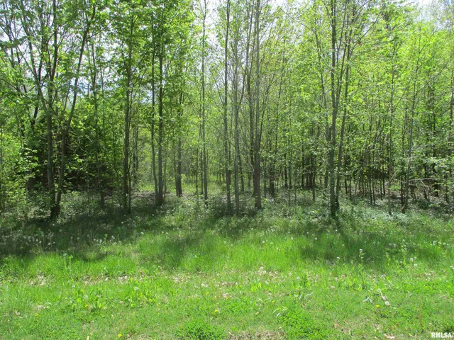 $30,000 | 0 Sterling Street, Benton, IL 62812