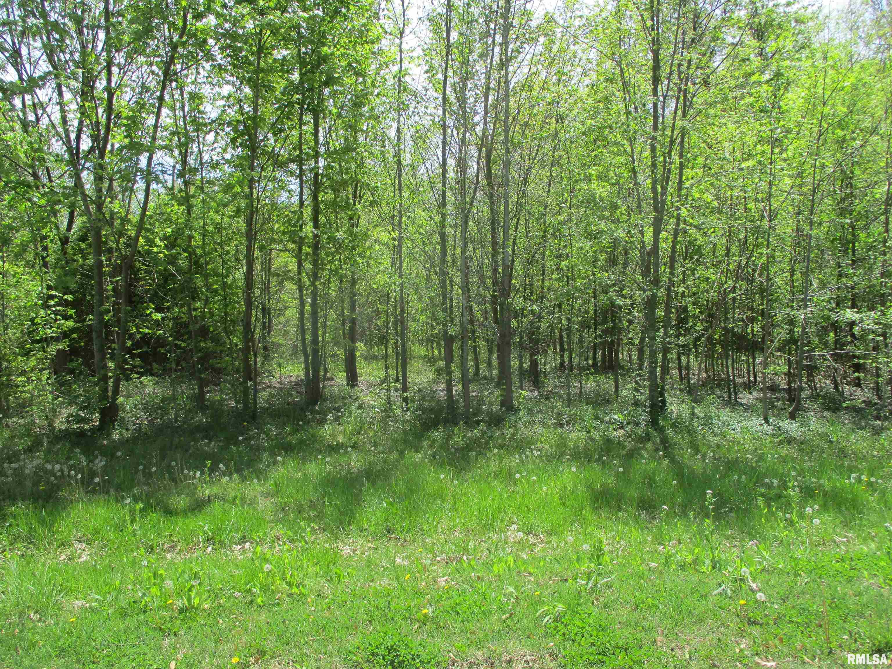 0 Sterling Street Benton, IL 62812 - Photo 8 of 13