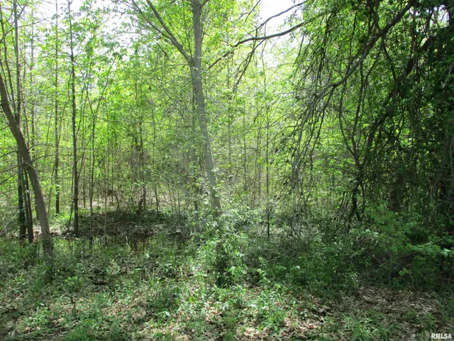 $30,000 | 0 Sterling Street, Benton, IL 62812