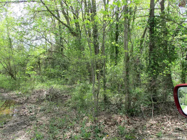 $30,000 | 0 Sterling Street, Benton, IL 62812