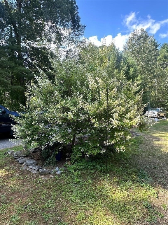 99 Old Poor Farm Road Ware, MA 01082 - Photo 8 of 29 a view of outdoor space and trees all around