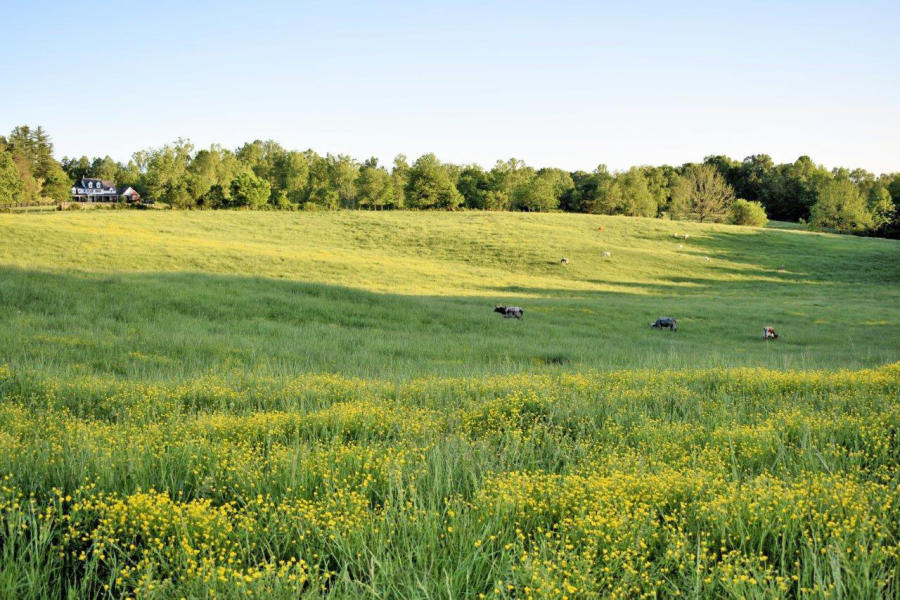 859 Rumbo Road Jamestown, KY 42629 - Photo 157 of 186 157