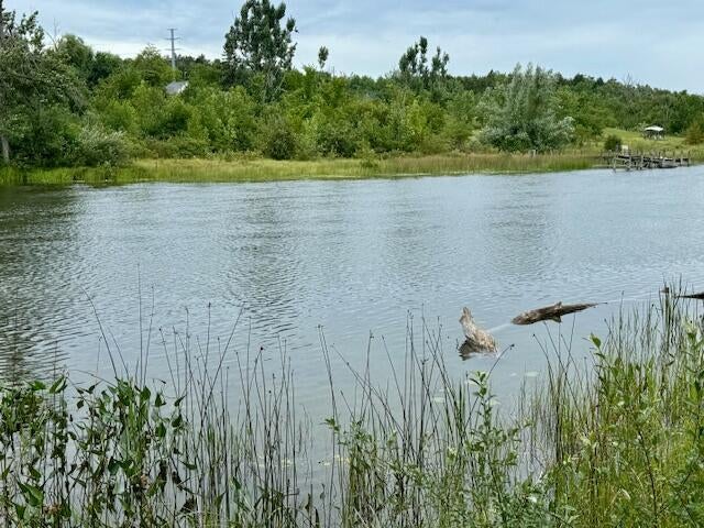 Lot 4 Mograin Cheboygan, MI 49721 - Photo 13 of 24 Waters Edge
