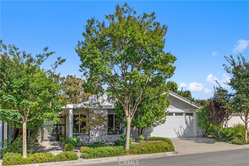 19172 Sierra Maria Road Irvine, CA 92603 - Photo 1 of 1 front view of a house with a tree