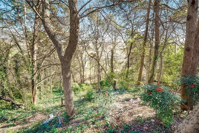 a big yard with lots of green space and trees