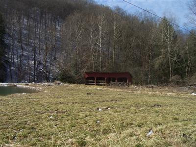 1000 Laurel Fork Road Ricetown, KY 41364 - Photo 3 of 11 Photo 3
