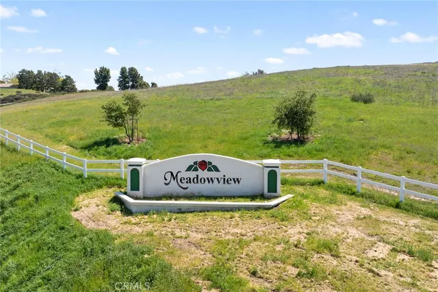 a view of a house with a big yard potted plants and large tree