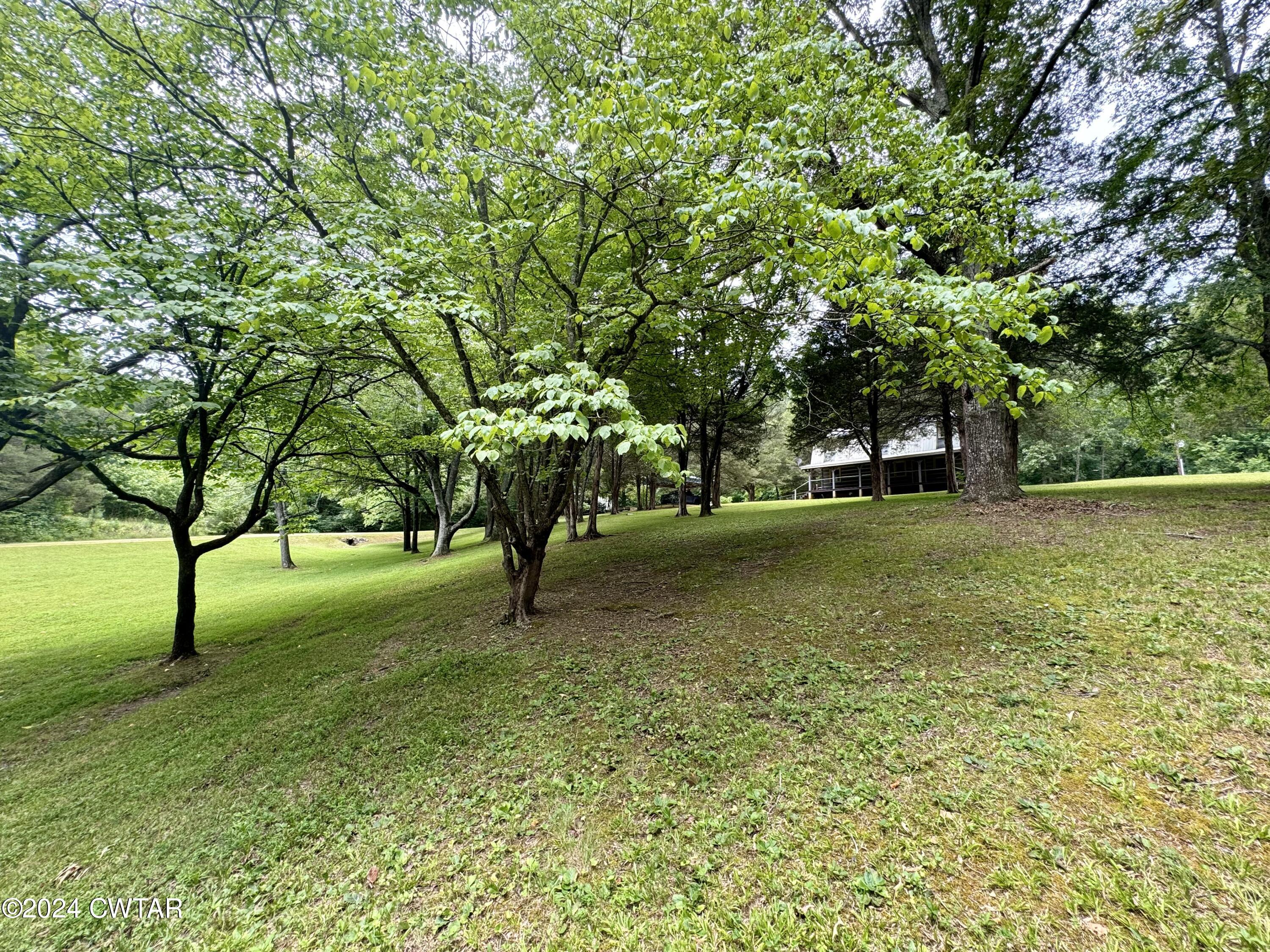 9656 Sinking Creek Road Linden, TN 37096 - Photo 50 of 52 IMG_1762