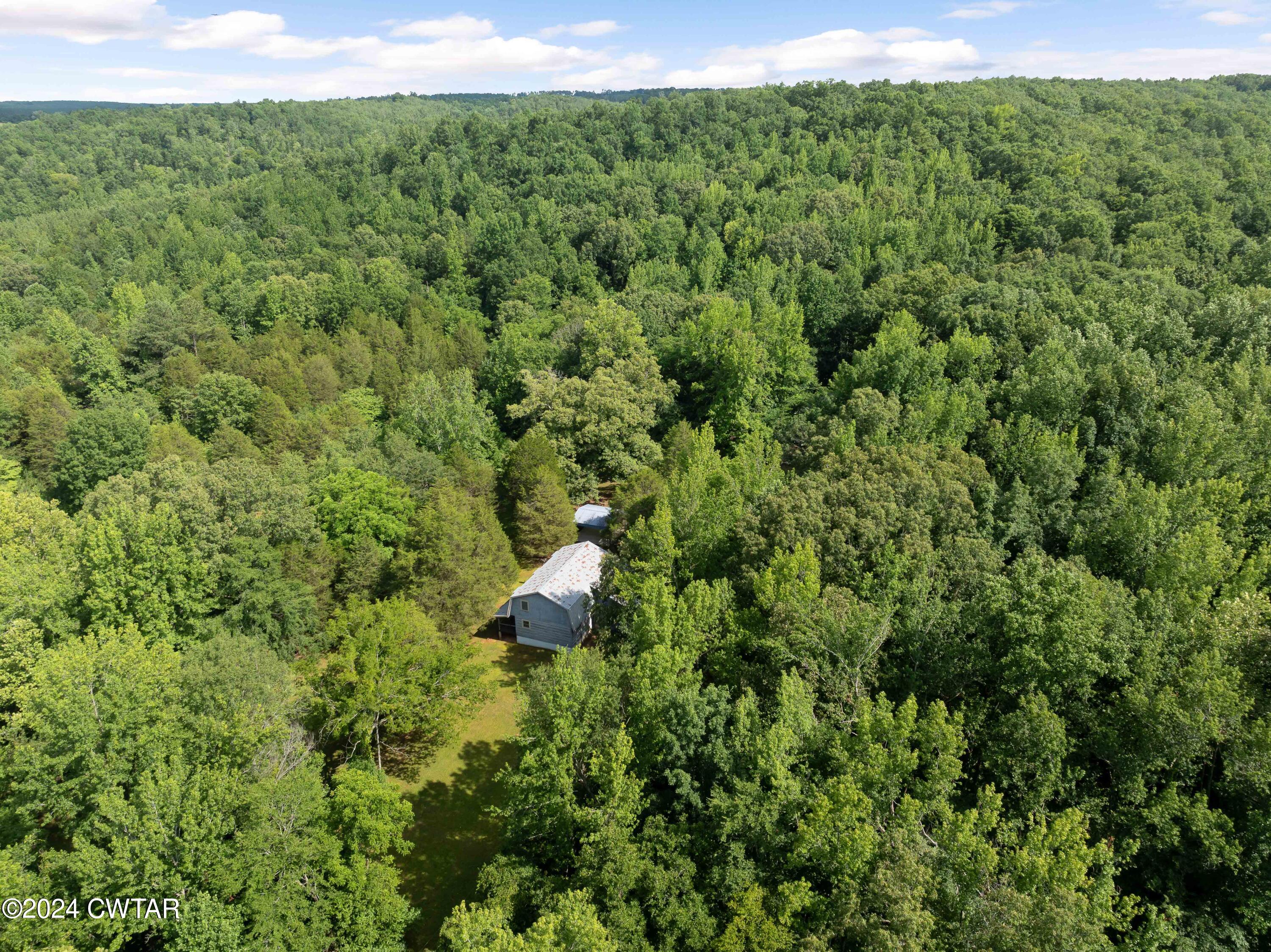 9656 Sinking Creek Road Linden, TN 37096 - Photo 8 of 52 DJI_20240627155732_0939_D