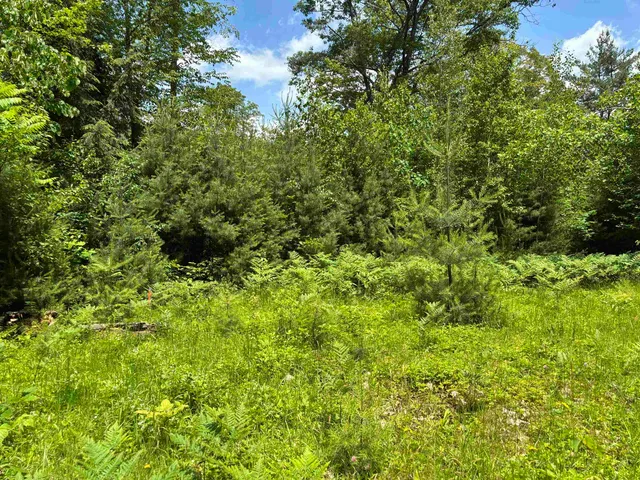 $80,000 | 0 Simonsville Road, Unit LOT 3, Andover, VT 05143