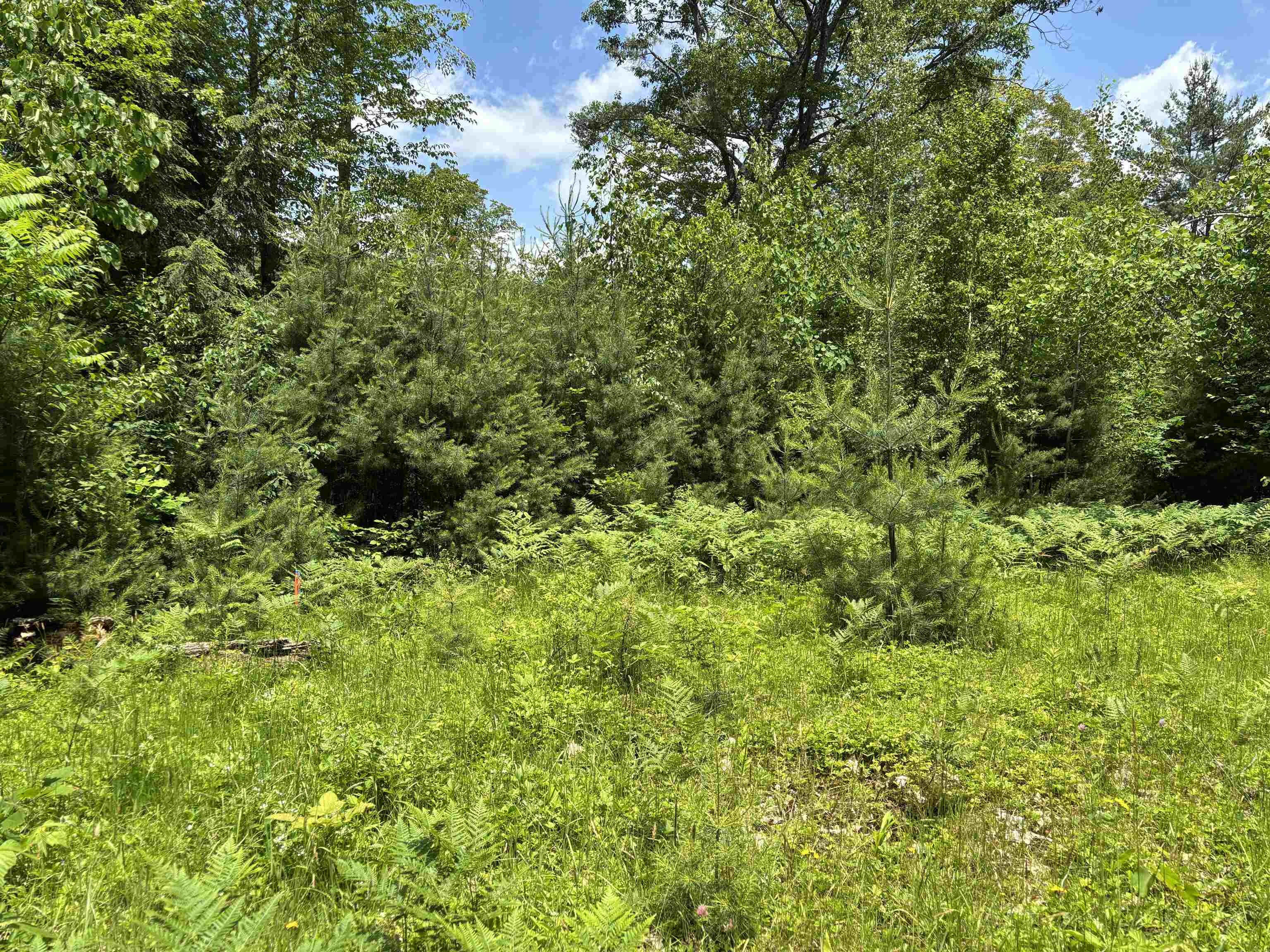 0 Simonsville Road, Unit LOT 3 Andover, VT 05143 - Photo 11 of 23