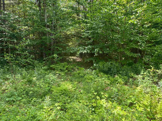 $80,000 | 0 Simonsville Road, Unit LOT 3, Andover, VT 05143