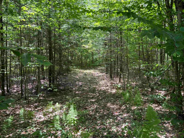 $80,000 | 0 Simonsville Road, Unit LOT 3, Andover, VT 05143