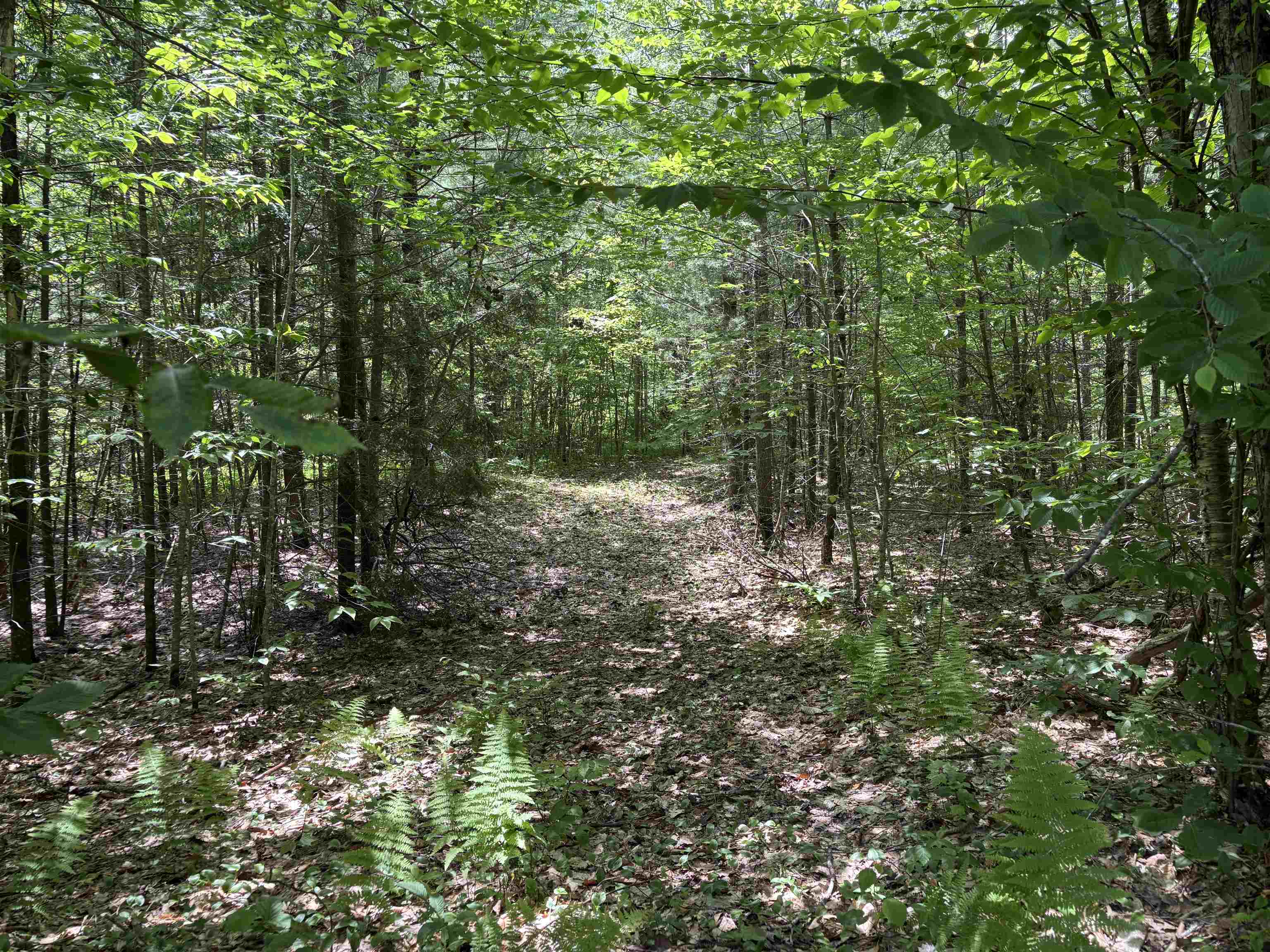 0 Simonsville Road, Unit LOT 3 Andover, VT 05143 - Photo 13 of 23