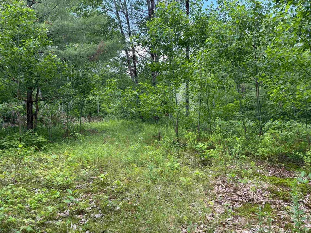 $80,000 | 0 Simonsville Road, Unit LOT 3, Andover, VT 05143