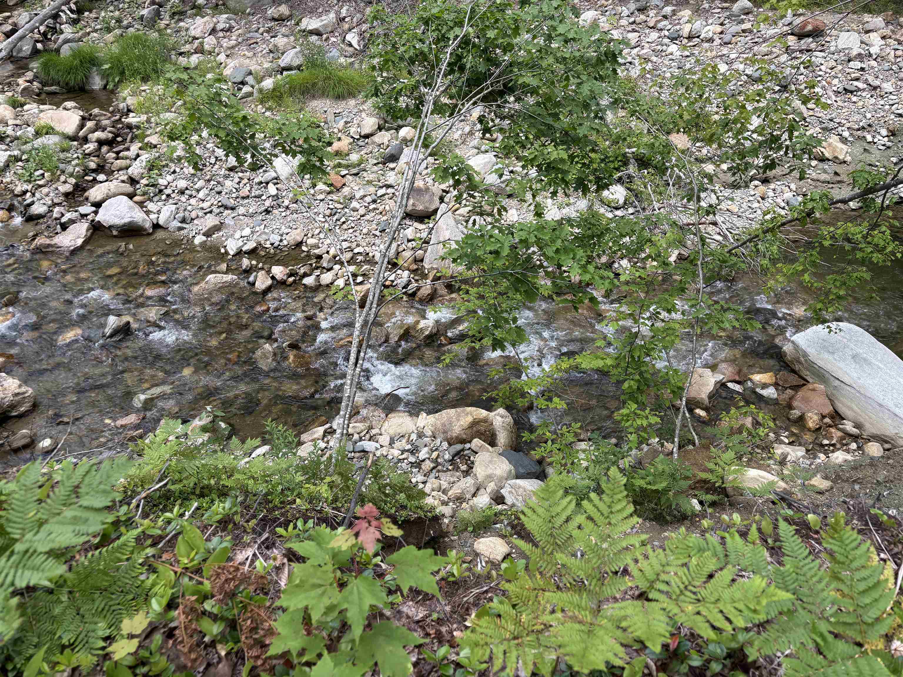 0 Simonsville Road, Unit LOT 3 Andover, VT 05143 - Photo 16 of 23