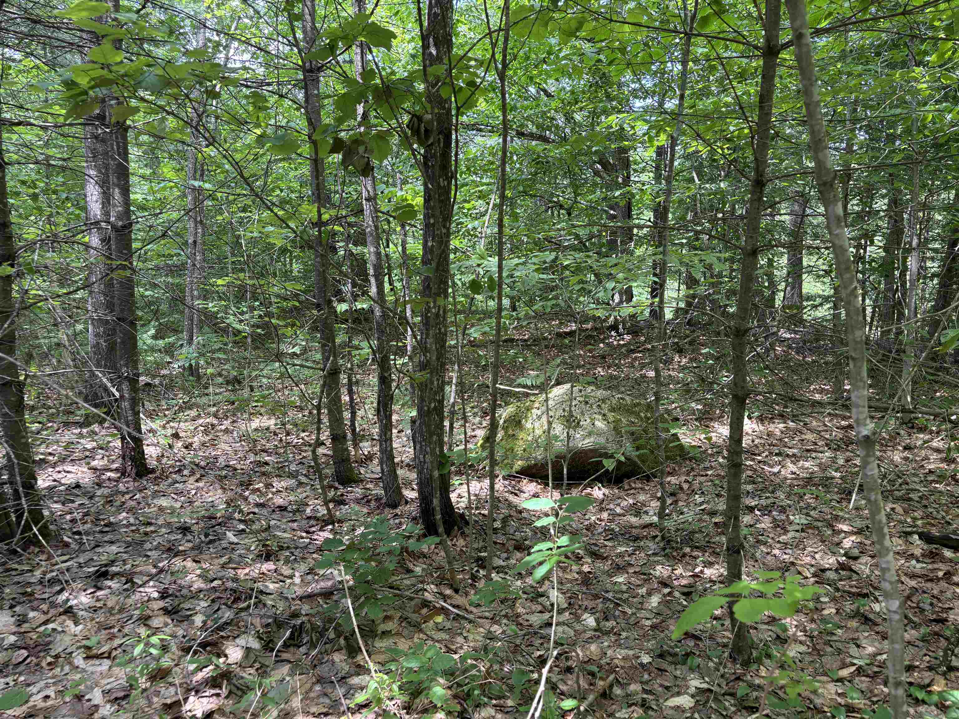 0 Simonsville Road, Unit LOT 3 Andover, VT 05143 - Photo 18 of 23