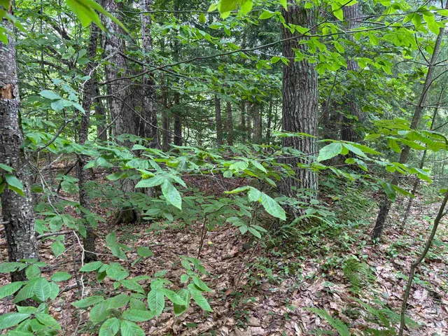 $80,000 | 0 Simonsville Road, Unit LOT 3, Andover, VT 05143