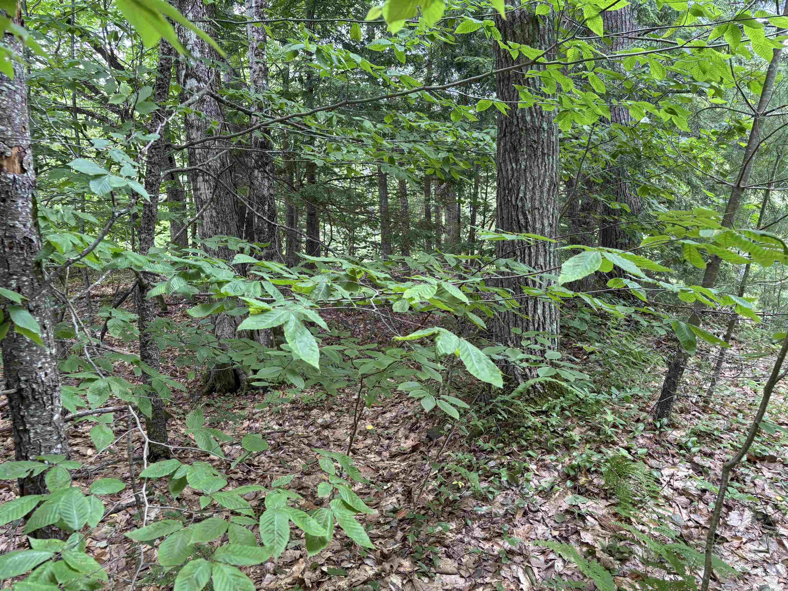 0 Simonsville Road, Unit LOT 3 Andover, VT 05143 - Photo 19 of 23