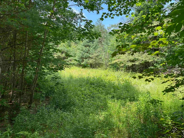 $80,000 | 0 Simonsville Road, Unit LOT 3, Andover, VT 05143