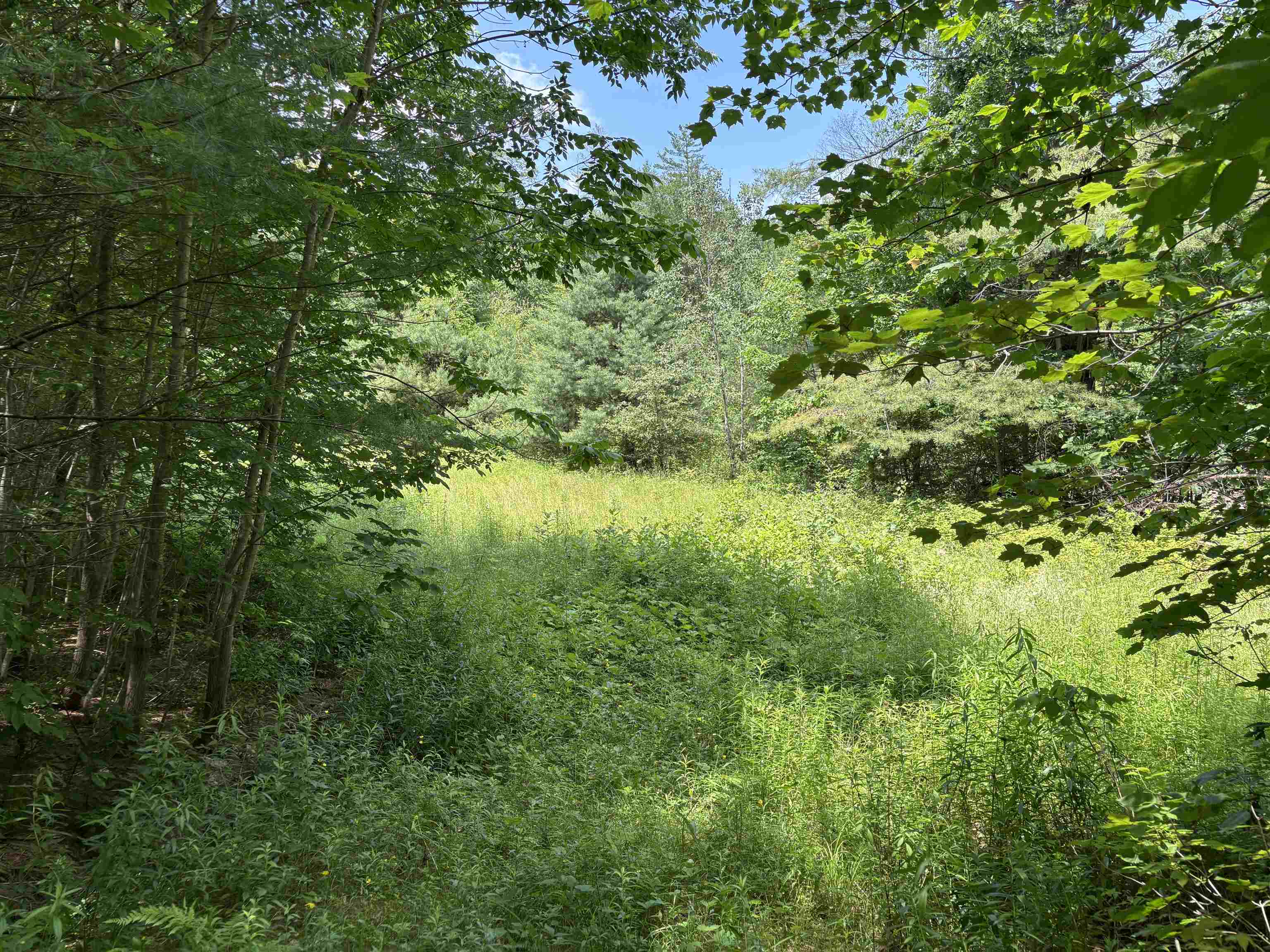 0 Simonsville Road, Unit LOT 3 Andover, VT 05143 - Photo 2 of 23