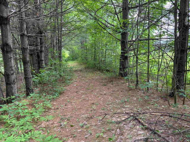 $80,000 | 0 Simonsville Road, Unit LOT 3, Andover, VT 05143