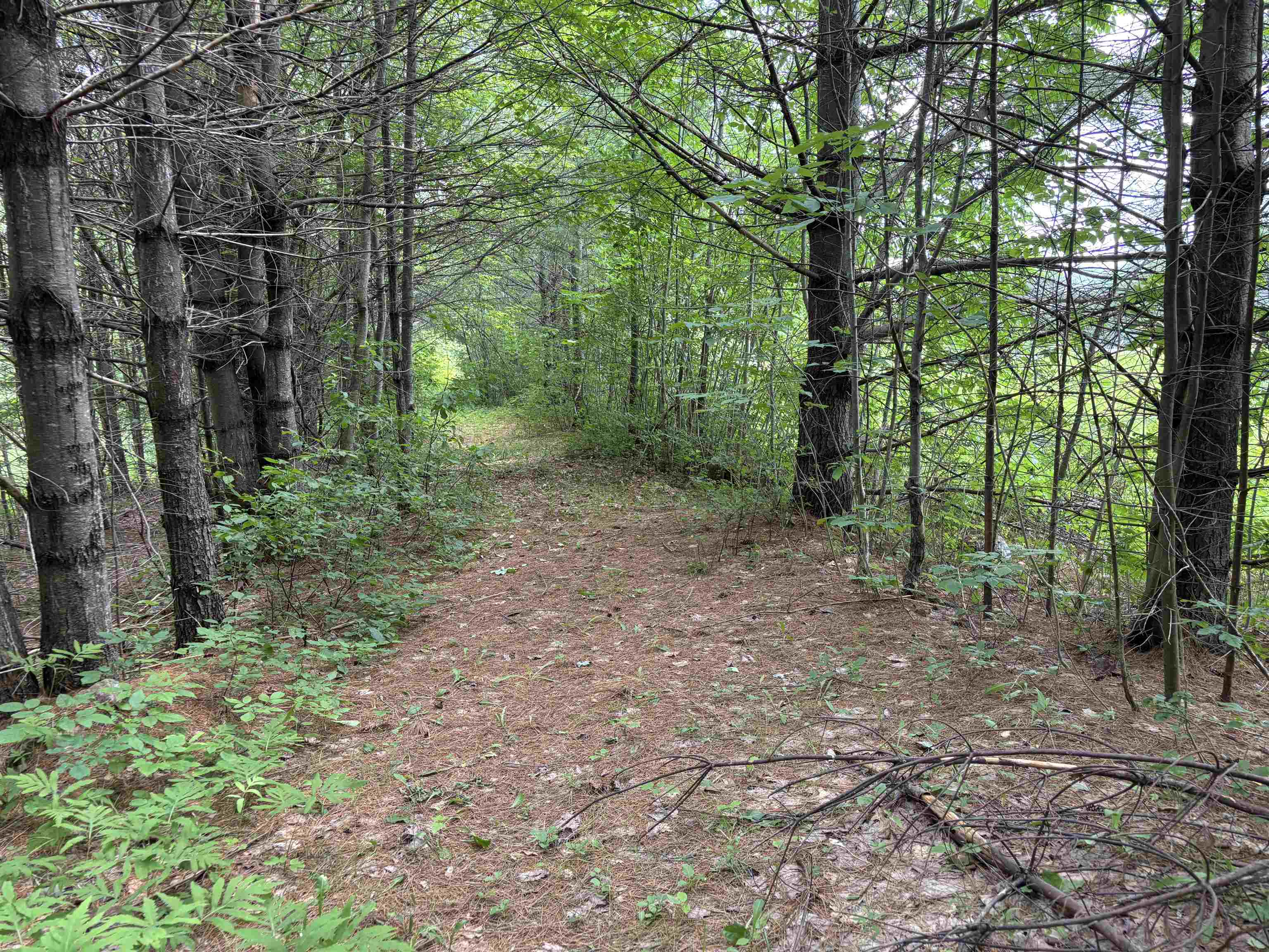 0 Simonsville Road, Unit LOT 3 Andover, VT 05143 - Photo 3 of 23