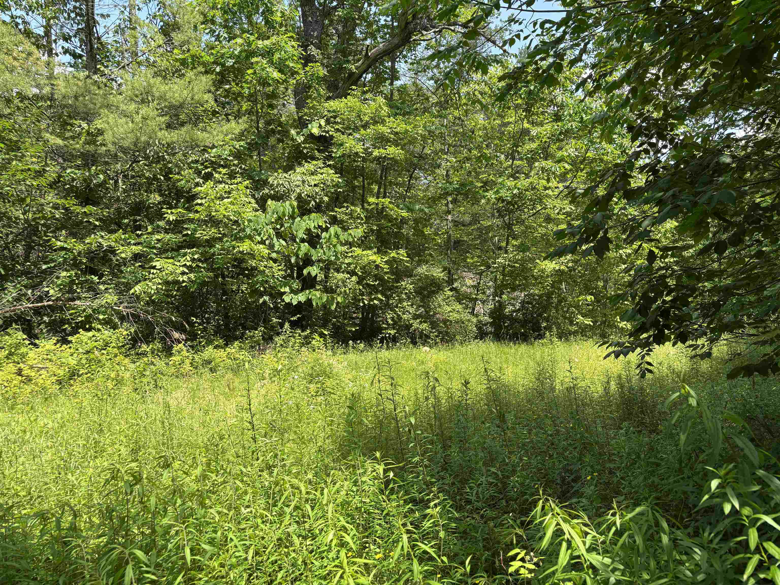 0 Simonsville Road, Unit LOT 3 Andover, VT 05143 - Photo 5 of 23