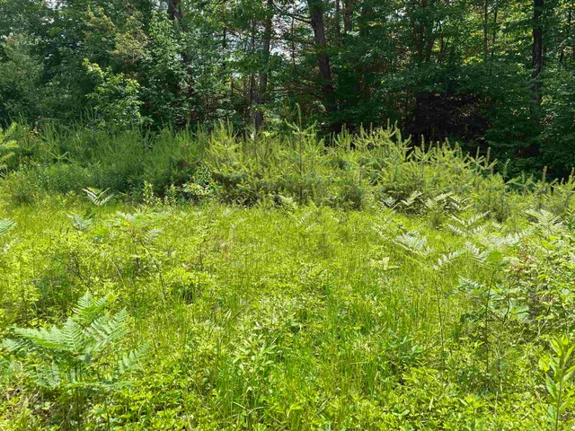 $80,000 | 0 Simonsville Road, Unit LOT 3, Andover, VT 05143