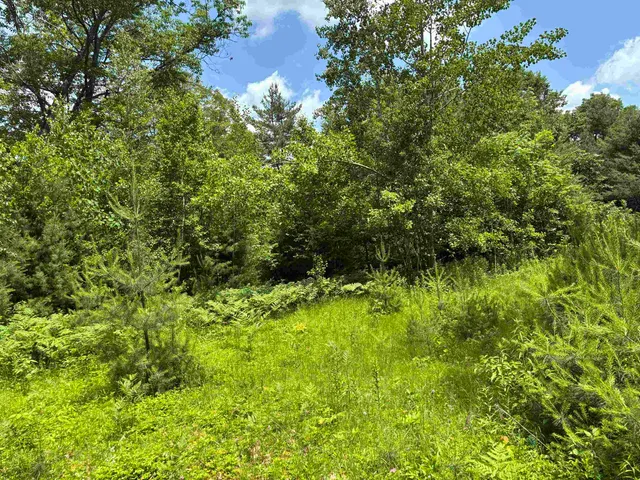 $80,000 | 0 Simonsville Road, Unit LOT 3, Andover, VT 05143